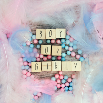 GENDER REVEAL