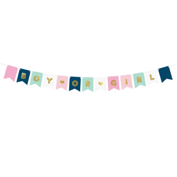 Banner ''Boy or Girl'' 15cm x 175cm.