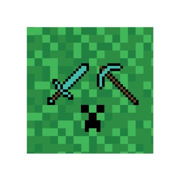 Napkins Minecraft TNT 20pcs. 33x33cm. Napkins Minecraft TNT 20pcs. 33x33cm.
