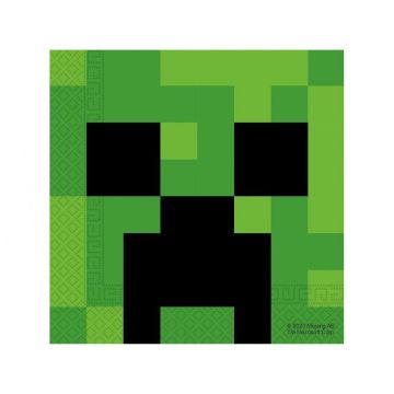 Napkins Minecraft 20pcs
