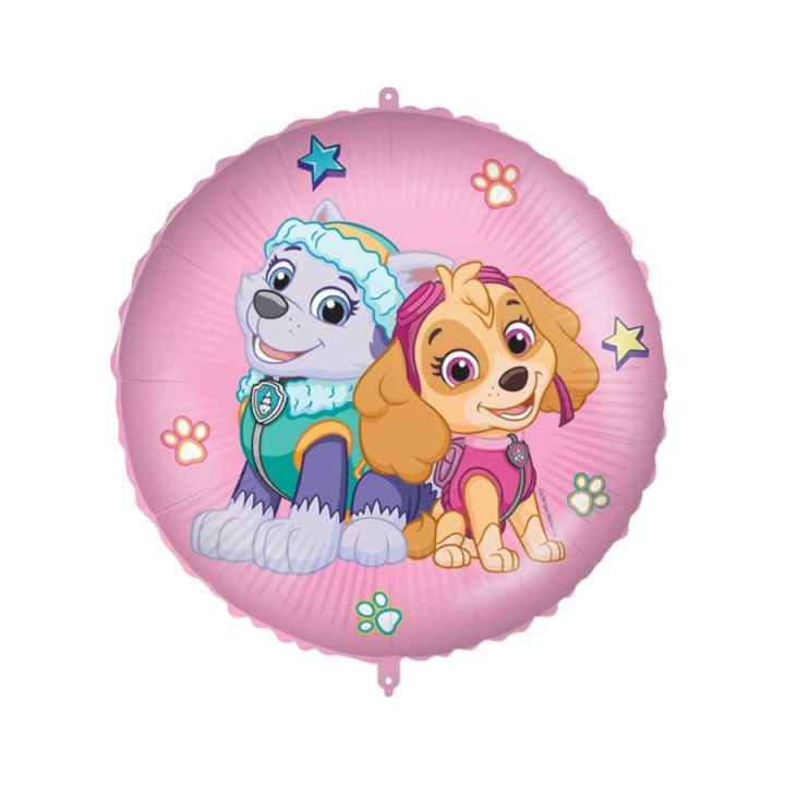 Foil Balloon Sky and Everest Paw Patrol.